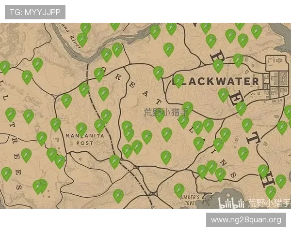 南宫手机版每日任务与副本攻略，帮助玩家高效获取资源提升整体实力