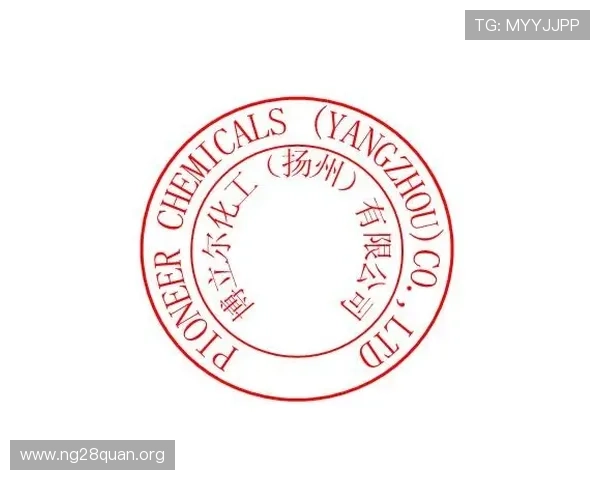 优化PS电子章制作流程的方法与技巧，助你快速完成专业电子章设计任务